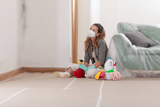 Reliable Mold Remediation contractor in Garwood, NJ by Car Mold Remediation